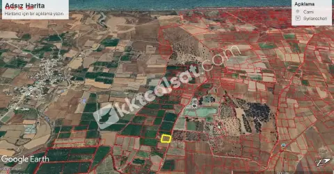 Güzelyurt’un Yayla da Yatırlık Arazi — Güzelyurt — фото 1 из 5