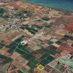 Güzelyurt’un Yayla da Yatırlık Arazi — Güzelyurt — фото 2 из 5