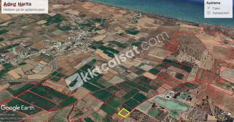 Güzelyurt’un Yayla da Yatırlık Arazi — Güzelyurt — фото 2 из 5
