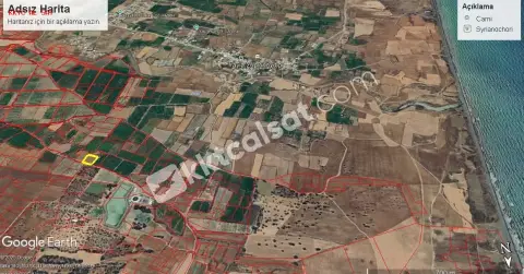 Güzelyurt’un Yayla da Yatırlık Arazi — Güzelyurt — фото 3 из 5