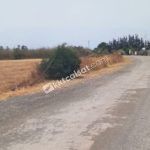 Güzelyurt’un Yayla da Yatırlık Arazi — Güzelyurt — фото 4 из 5