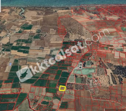 Güzelyurt’un Yayla da Yatırlık Arazi