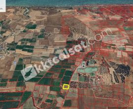 Güzelyurt’un Yayla da Yatırlık Arazi