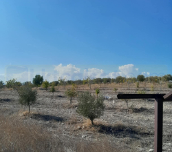 YATIRIM FIRSATI! Sınır Üstü Mevkiinde 23.391 m² Arazi Satılık