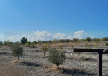 YATIRIM FIRSATI! Sınır Üstü Mevkiinde 23.391 m² Arazi Satılık