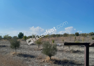YATIRIM FIRSATI! Sınır Üstü Mevkiinde 23.391 m² Arazi Satılık